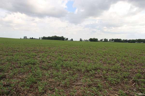 55.6 Acres of Agricultural Land for Sale in Princeton, Indiana