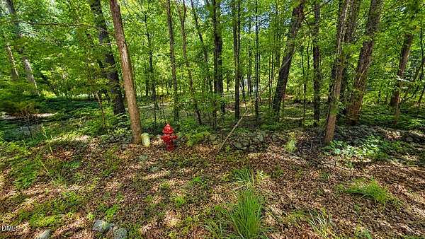 1 Acre of Residential Land for Sale in Apex, North Carolina