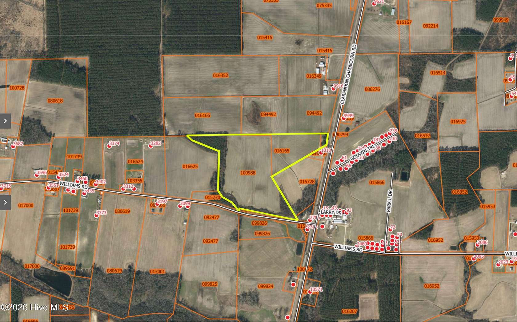 40 Acres of Recreational Land for Sale in Clarendon, North Carolina
