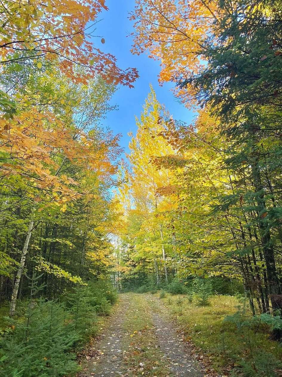 3.4 Acres of Residential Land for Sale in Mercer, Wisconsin
