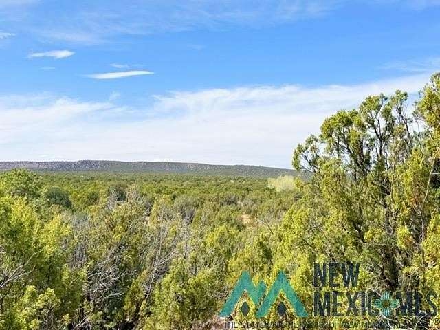 40 Acres of Land for Sale in Ribera, New Mexico