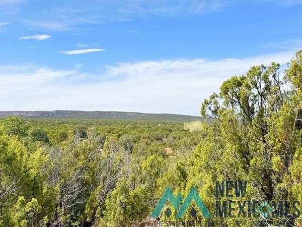 40 Acres of Land for Sale in Ribera, New Mexico