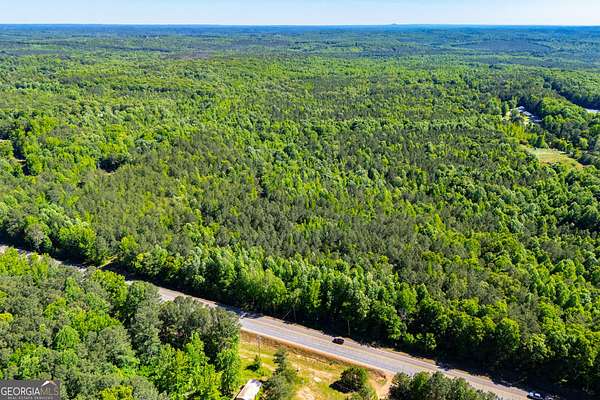 81.6 Acres of Recreational & Residential Land for Sale in Waco, Georgia