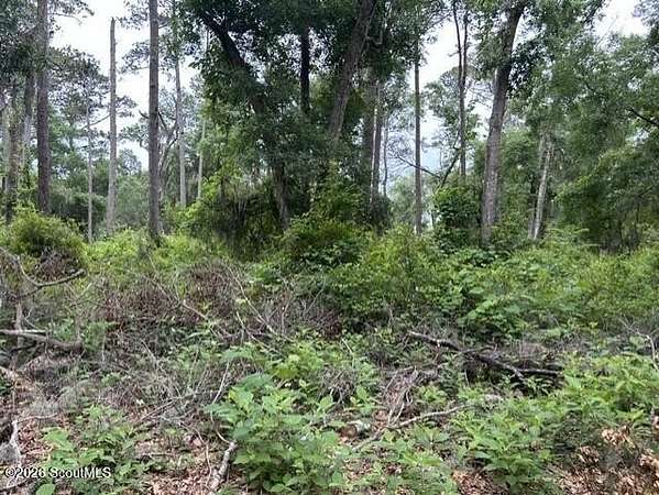 0.55 Acres of Residential Land for Sale in Darien, Georgia
