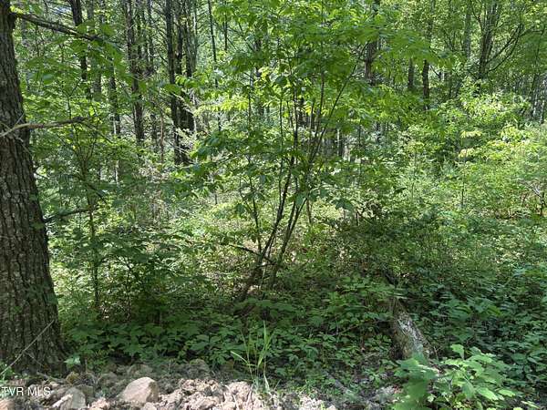3.15 Acres of Land for Sale in Butler, Tennessee
