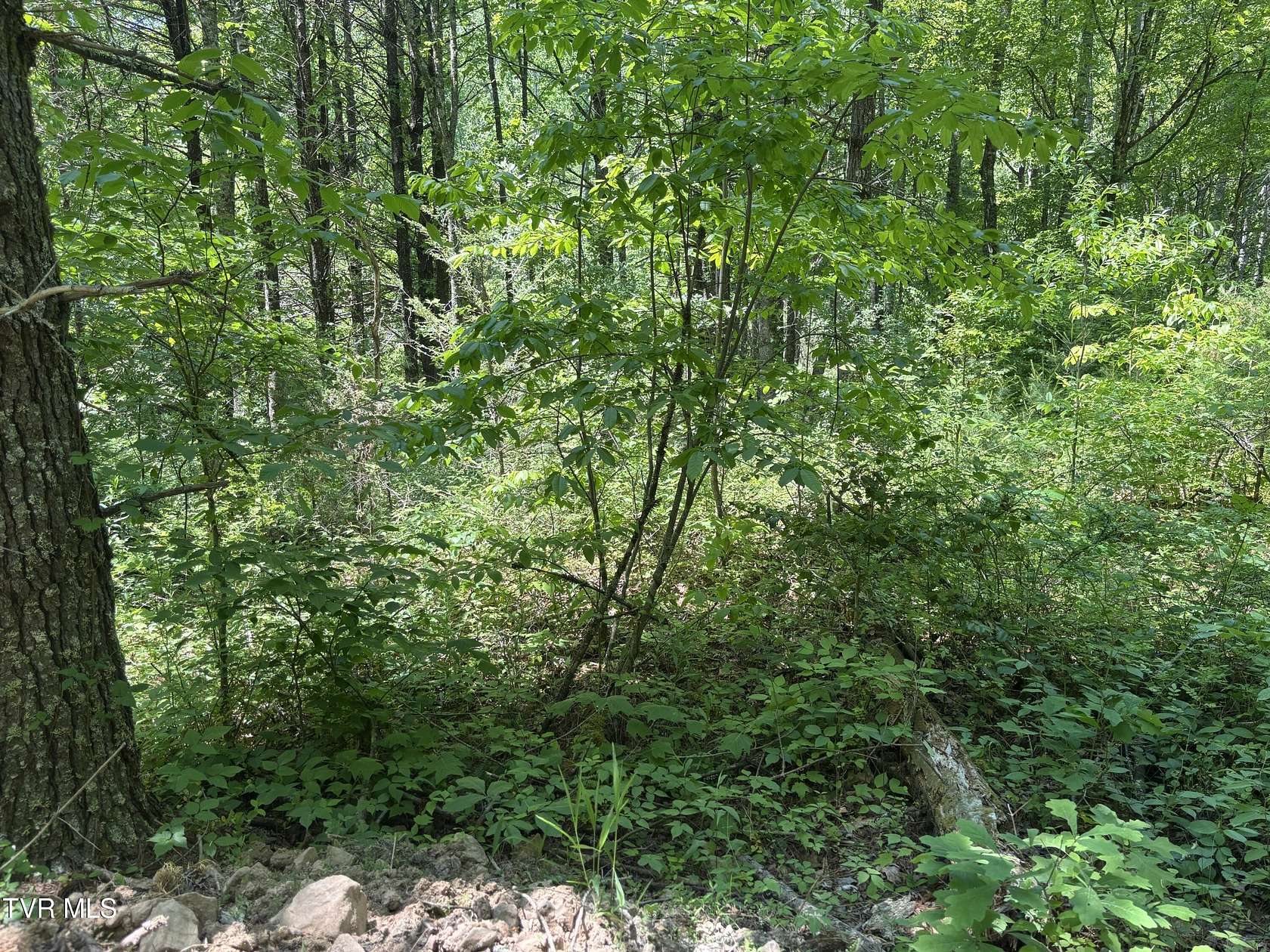 2.6 Acres of Land for Sale in Butler, Tennessee