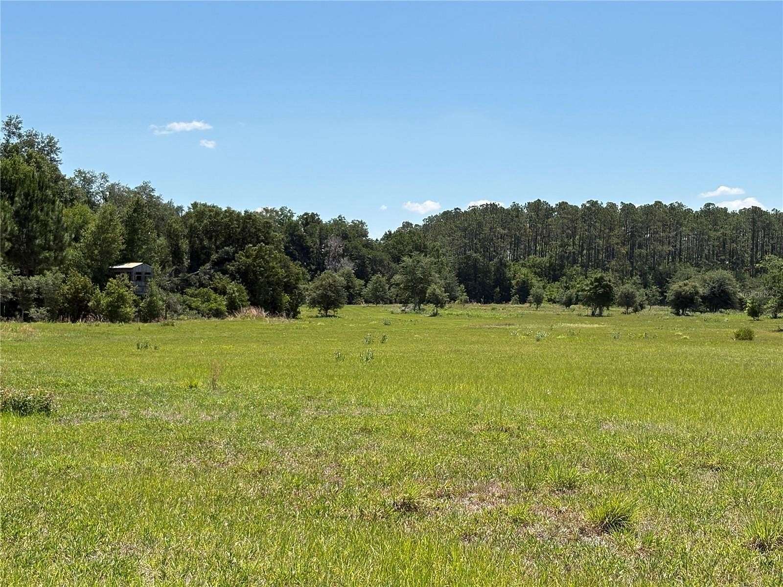 45.9 Acres of Recreational & Residential Land for Sale in Lakeland, Florida