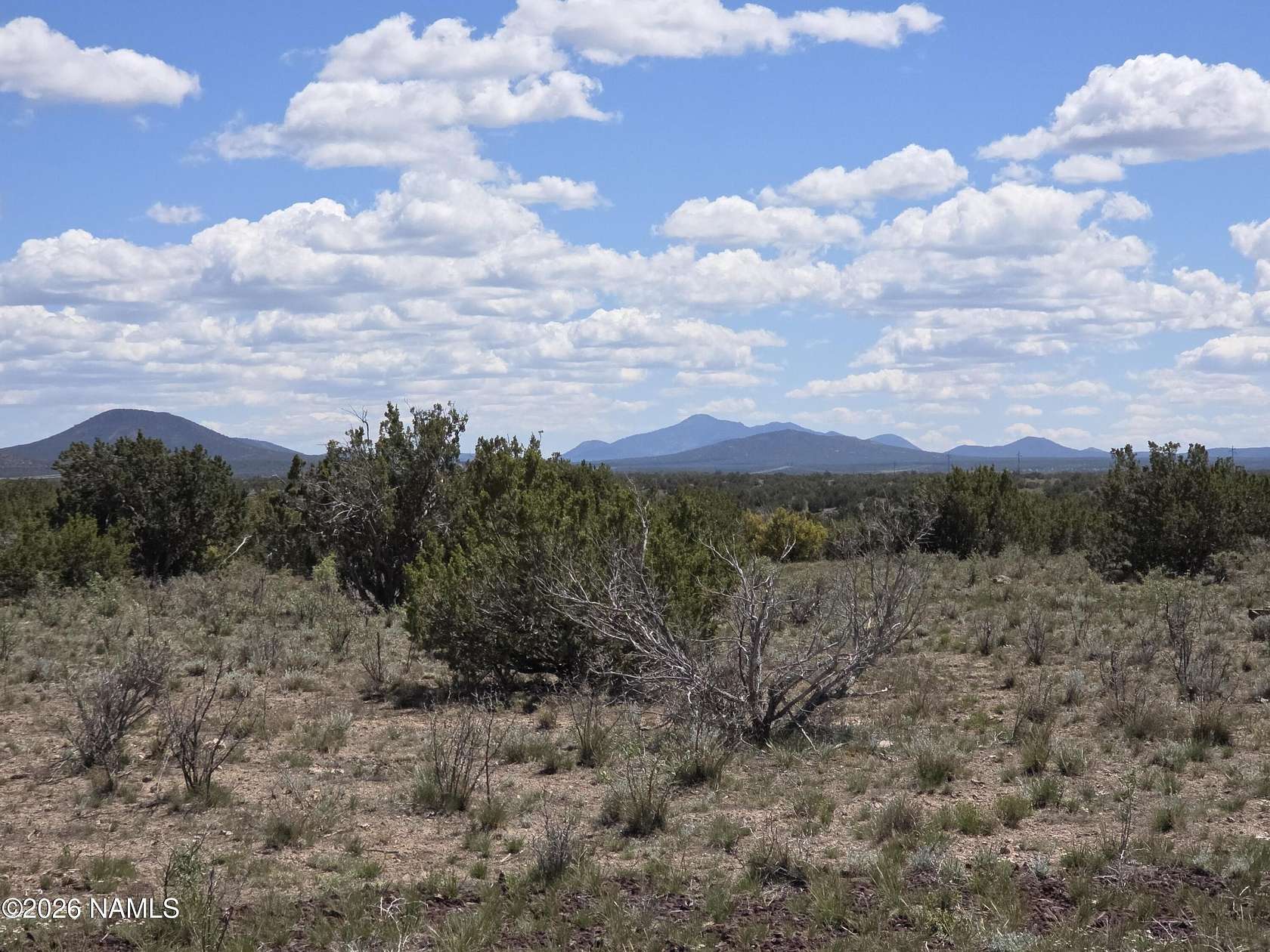 36 Acres of Recreational & Residential Land for Sale in Williams, Arizona