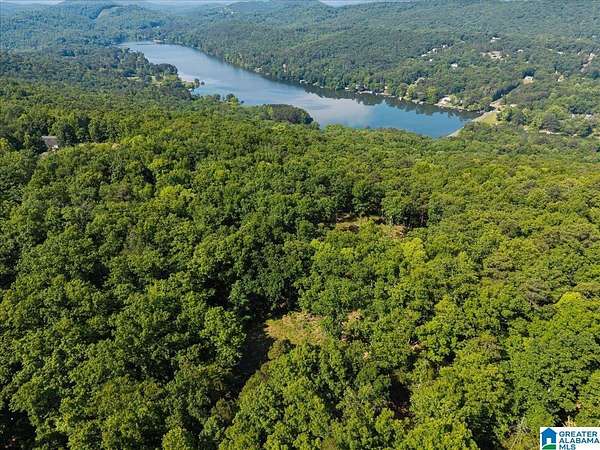 16 Acres of Land for Sale in Pinson, Alabama