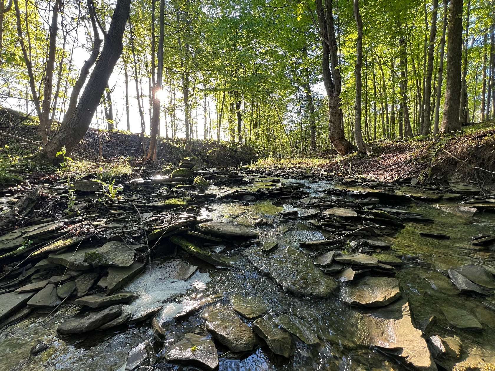 146 Acres of Land for Sale in North East, Pennsylvania