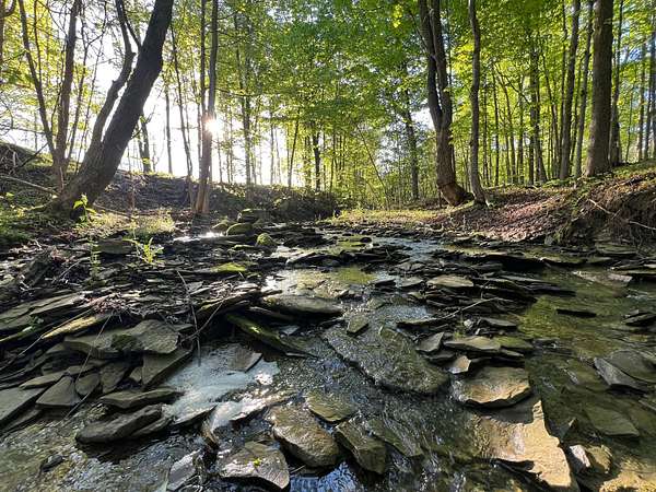 146 Acres of Land for Sale in North East, Pennsylvania