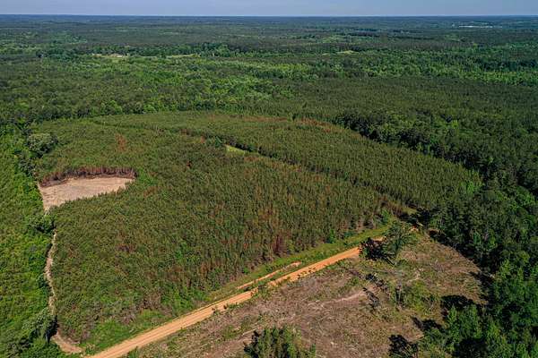 143 Acres of Recreational Land for Sale in Ackerman, Mississippi