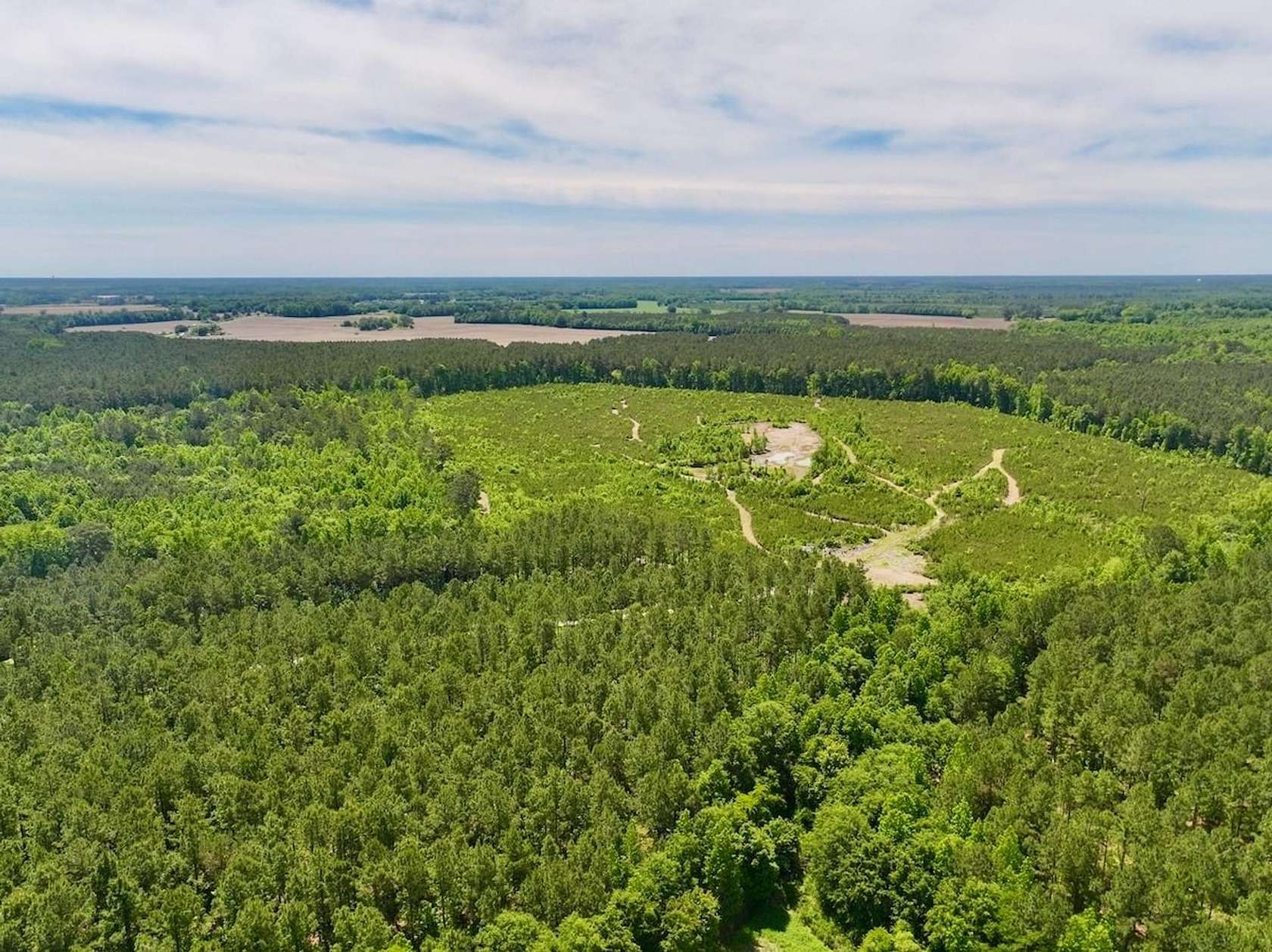 89.2 Acres of Land for Sale in Grifton, North Carolina