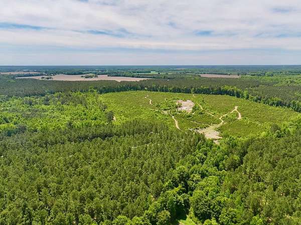 89.2 Acres of Land for Sale in Grifton, North Carolina