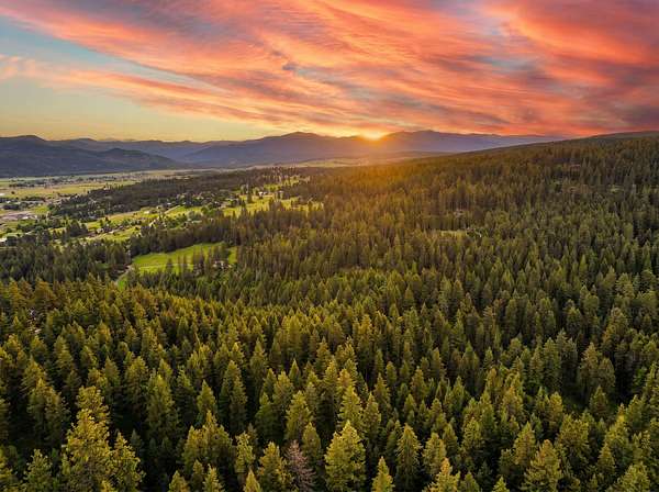 14.9 Acres of Recreational Land for Sale in Frenchtown, Montana