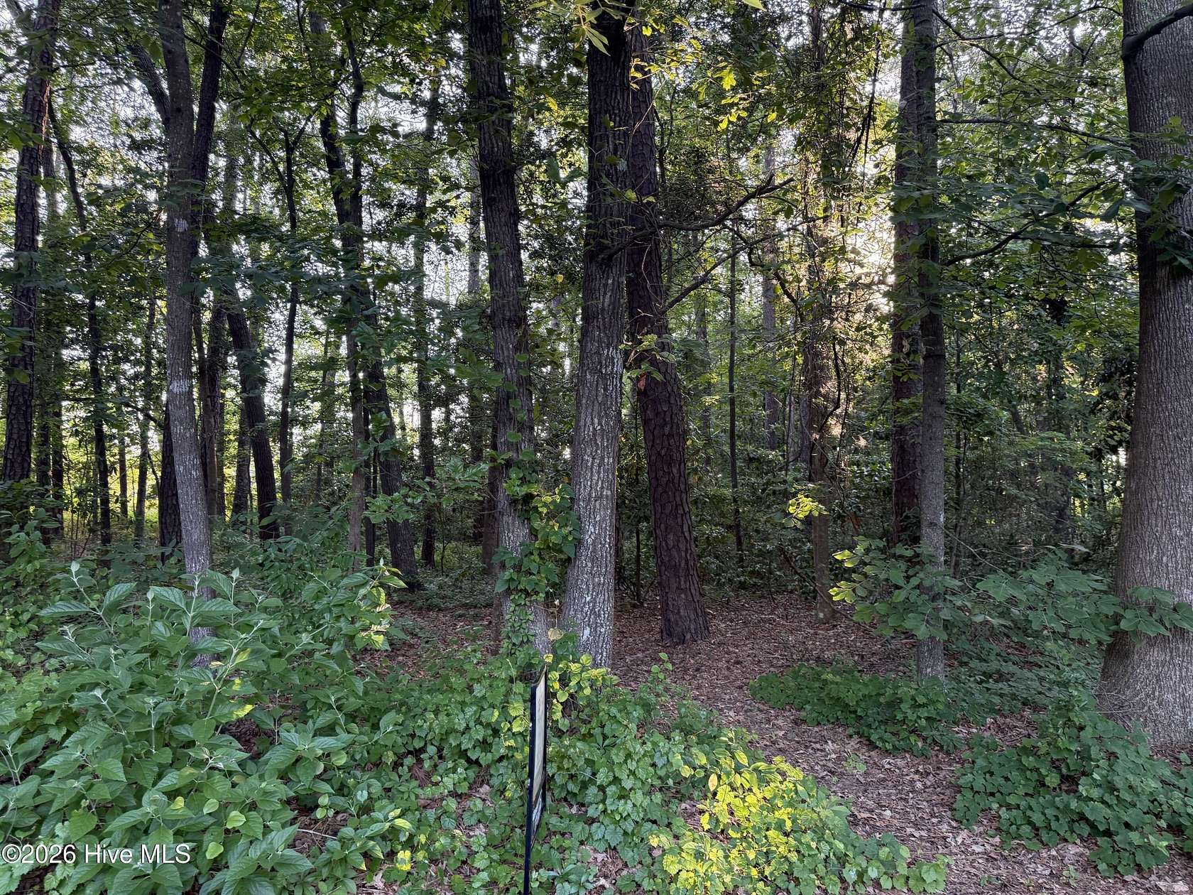 0.49 Acres of Residential Land for Sale in Greenville, North Carolina