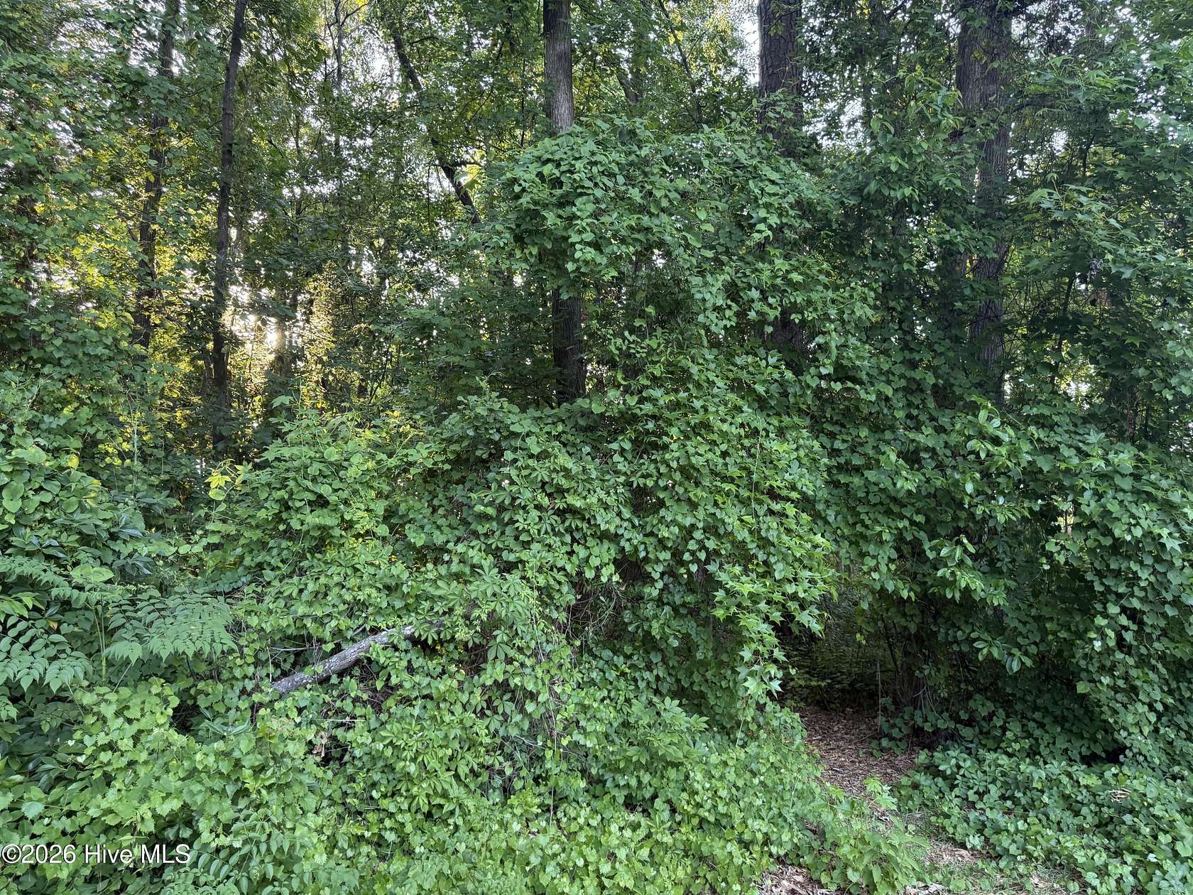 0.91 Acres of Residential Land for Sale in Greenville, North Carolina