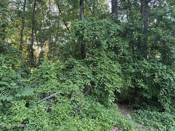 0.91 Acres of Residential Land for Sale in Greenville, North Carolina