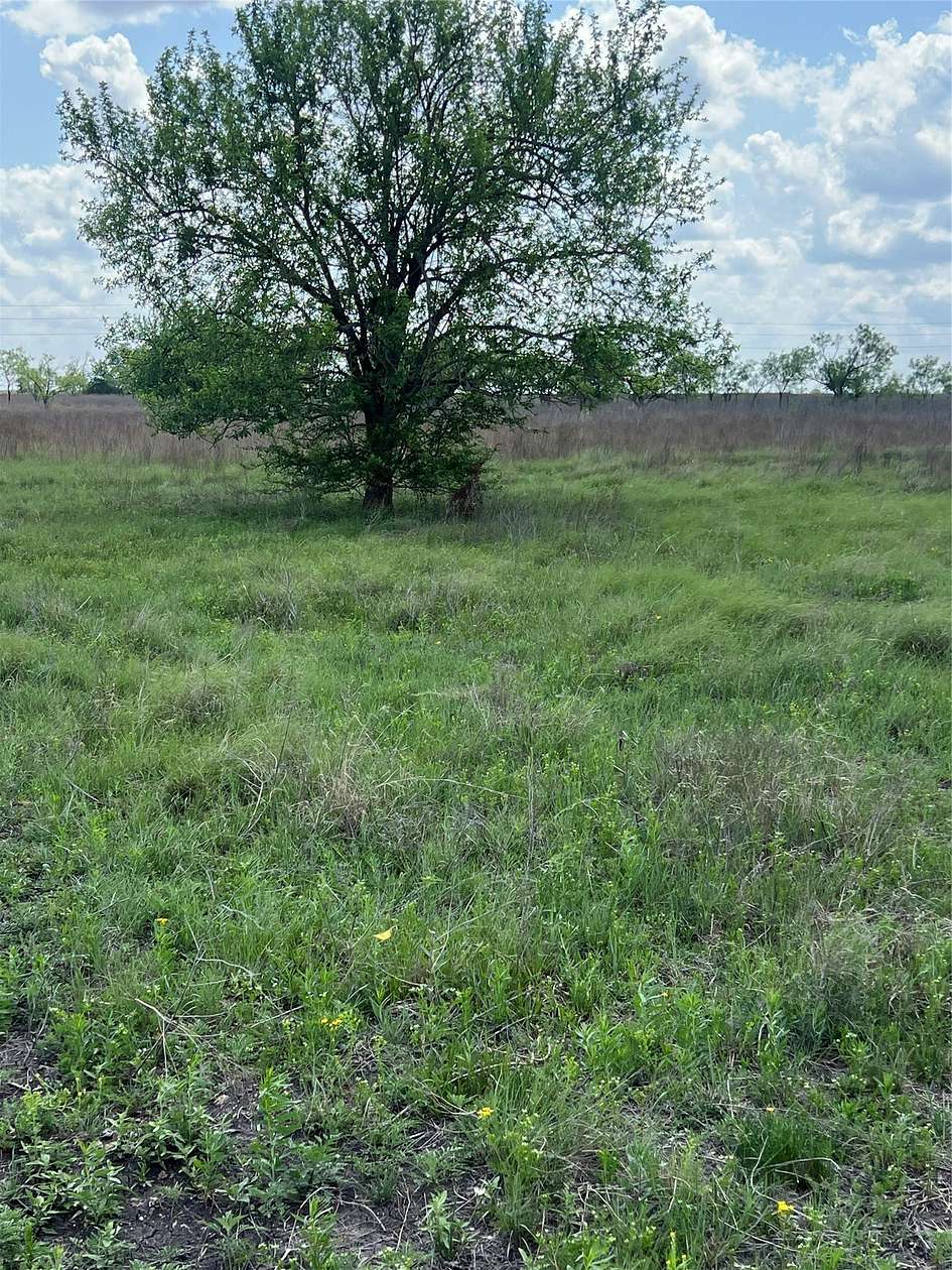 10 Acres of Land for Sale in Jonesboro, Texas