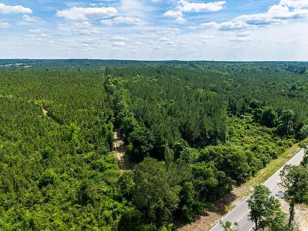 31.1 Acres of Recreational & Residential Land for Sale in Poplarville, Mississippi
