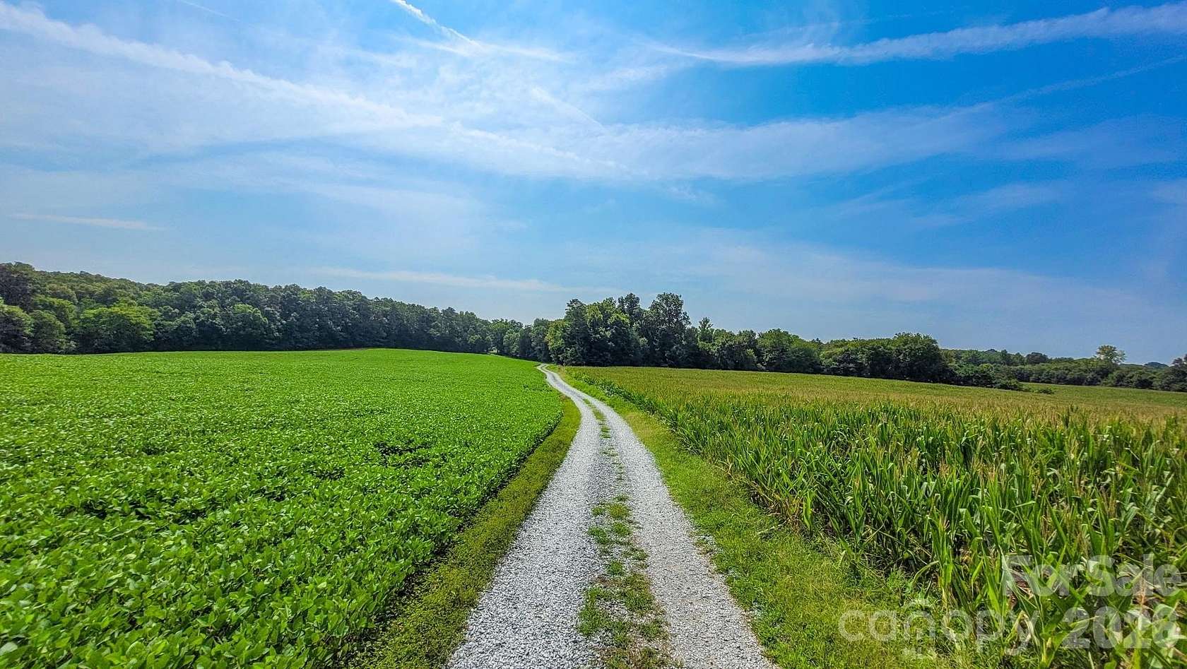47.7 Acres of Land for Sale in Monroe, North Carolina