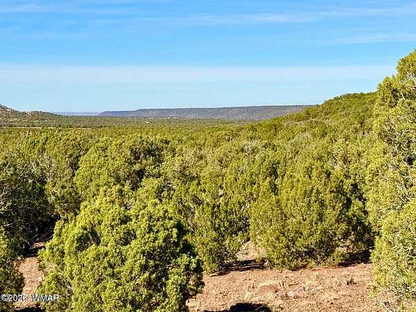 20 Acres of Recreational & Residential Land for Sale in Concho, Arizona