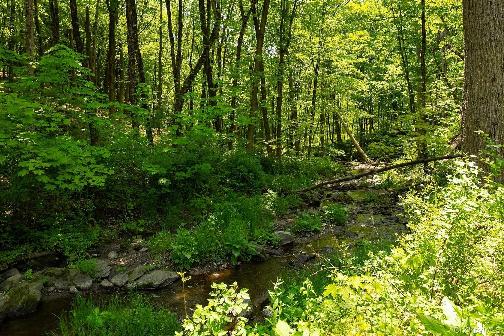 12.2 Acres of Land with Home for Sale in Poughquag, New York