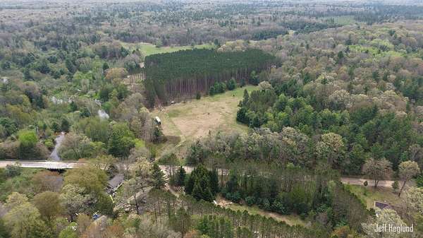 16.9 Acres of Land for Sale in Irons, Michigan