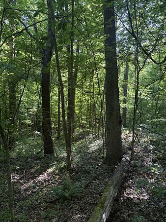 2.19 Acres of Residential Land for Sale in Millington, Tennessee