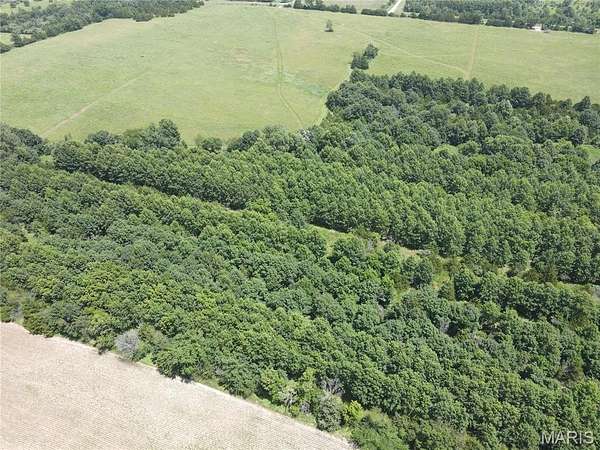 31 Acres of Land for Sale in Monroe City, Missouri