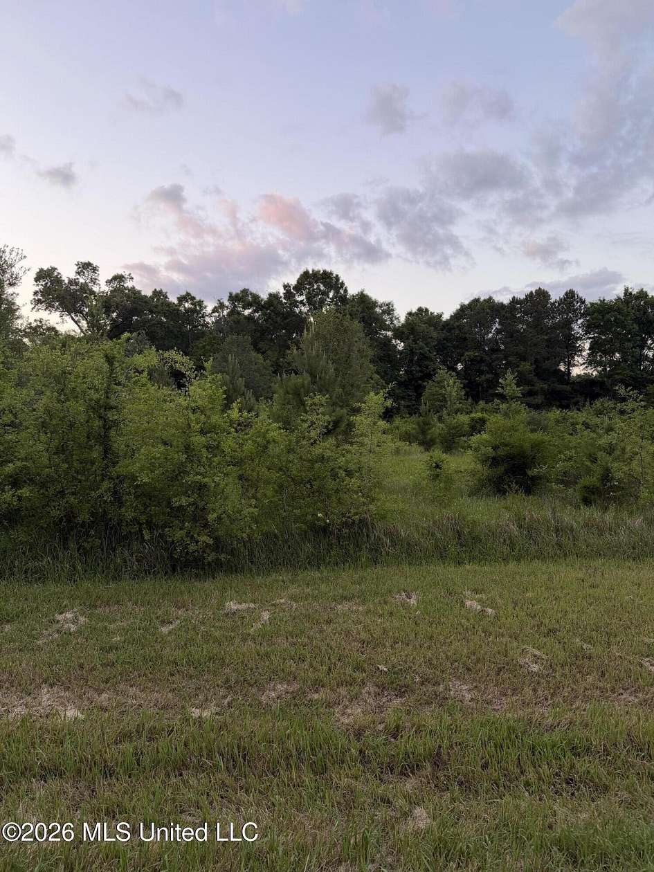 15 Acres of Recreational Land for Sale in Saucier, Mississippi