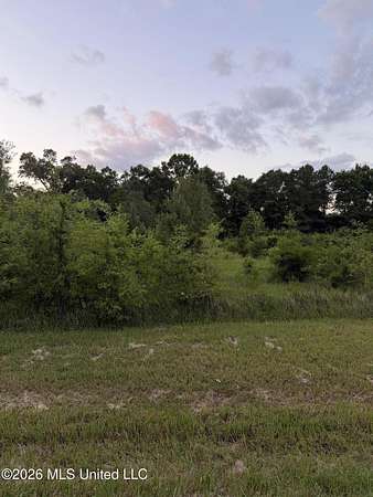 15 Acres of Recreational Land for Sale in Saucier, Mississippi