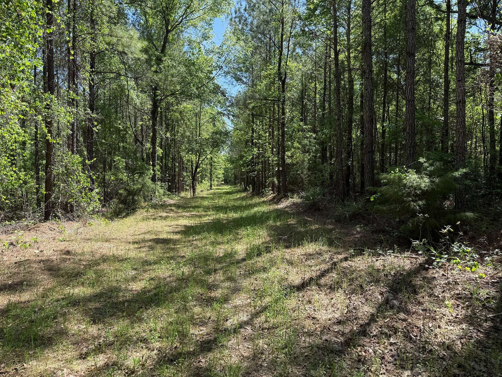 268 Acres of Recreational Land for Sale in Blakely, Georgia