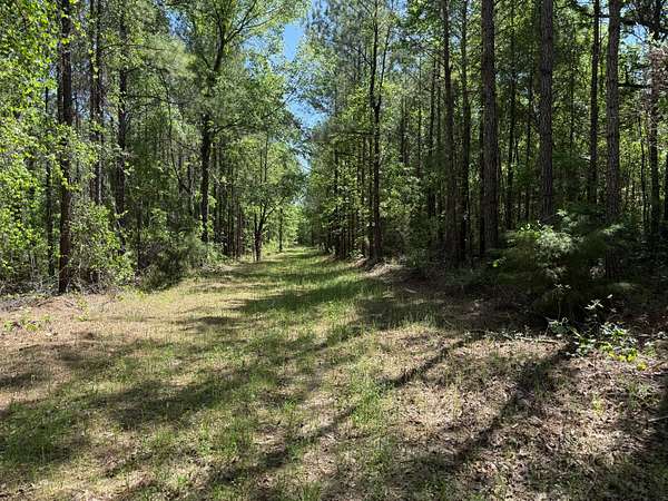 268 Acres of Recreational Land for Sale in Blakely, Georgia