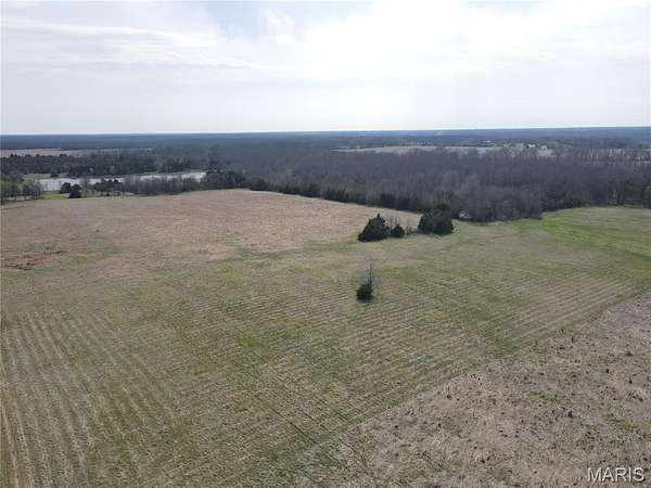 20 Acres of Land for Sale in Monroe City, Missouri