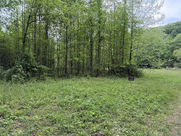 1.5 Acres of Residential Land for Sale in Lambsburg, Virginia