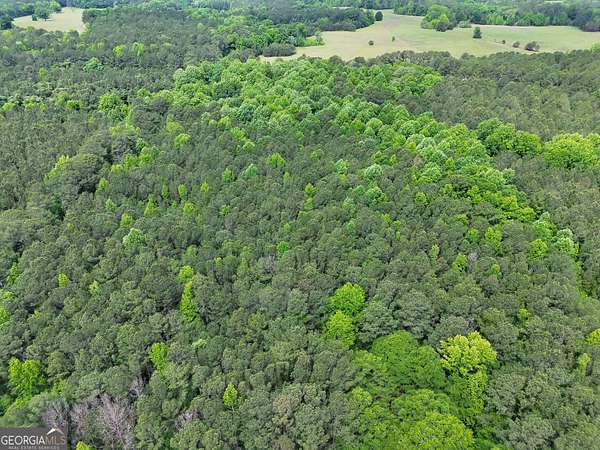 14.3 Acres of Land for Sale in Gay, Georgia