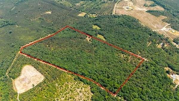44 Acres of Recreational & Residential Land for Sale in Buena Vista, Georgia