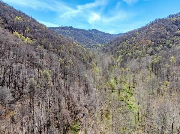 72 Acres of Land for Sale in Naoma, West Virginia