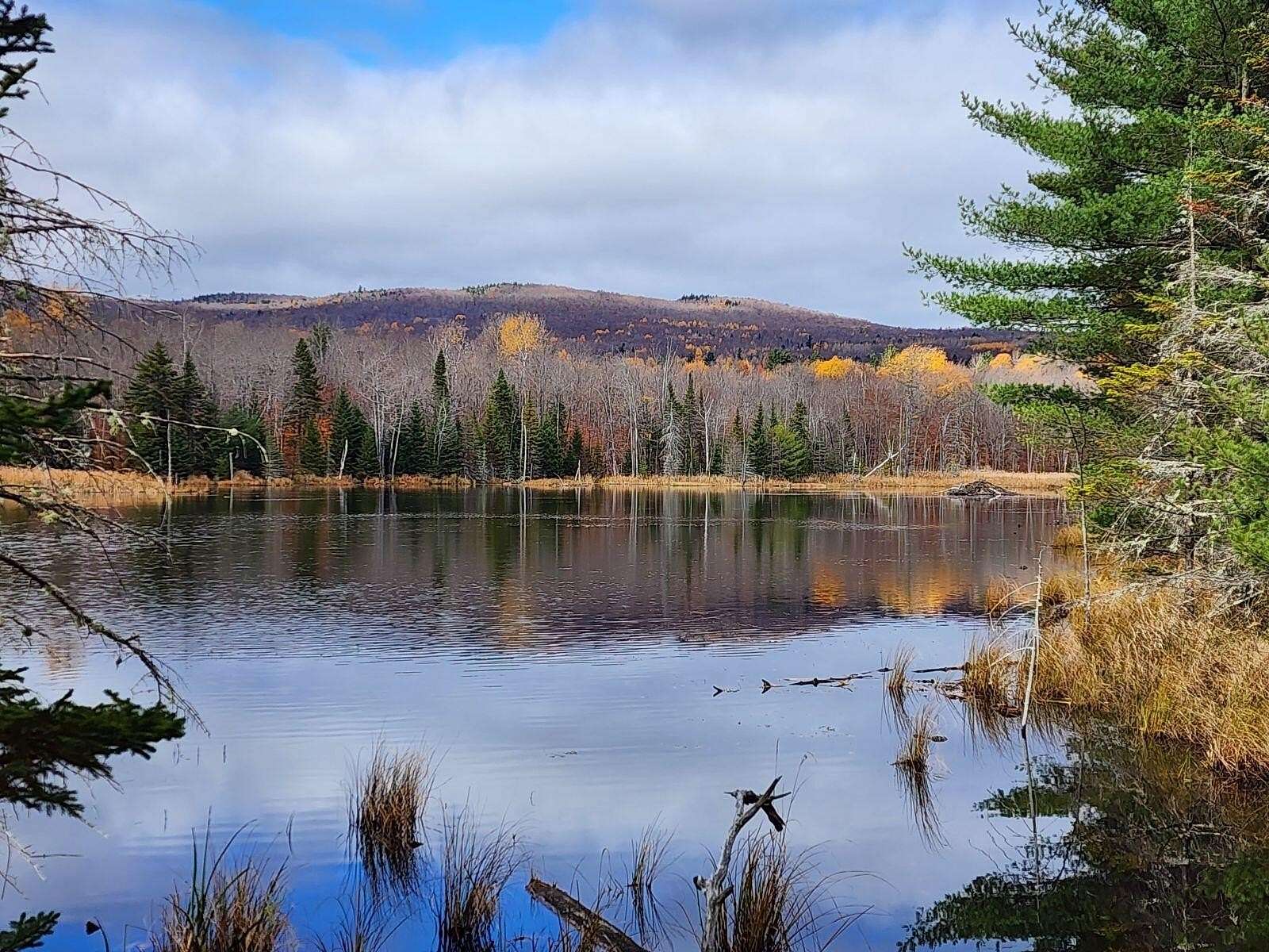 93.4 Acres of Recreational & Residential Land for Sale in Cadyville, New York