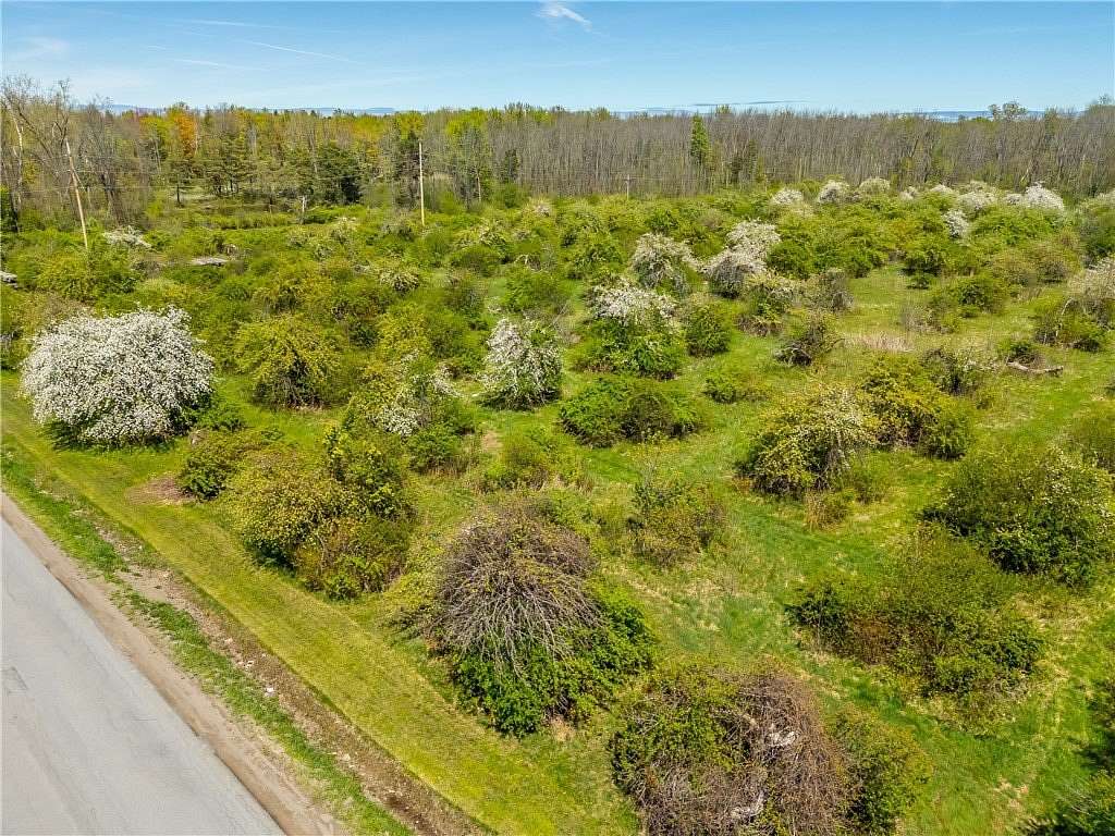 135 Acres of Land for Sale in Sodus, New York