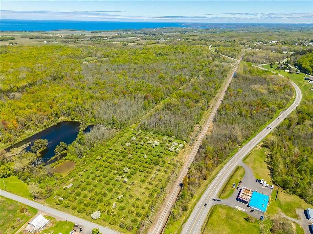 135 Acres of Land for Sale in Sodus, New York