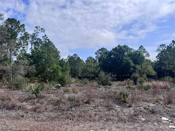 0.5 Acres of Residential Land for Sale in Lehigh Acres, Florida