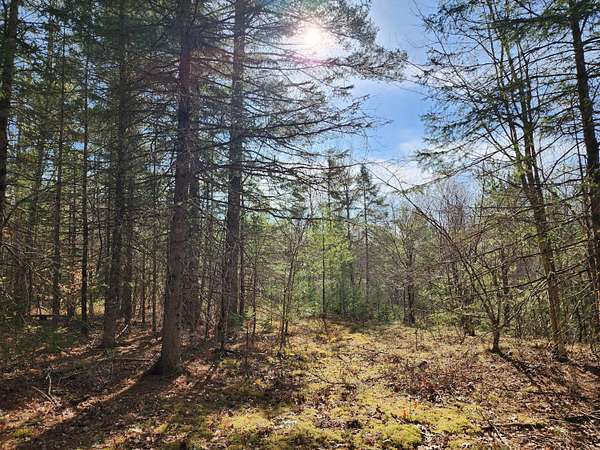 10.9 Acres of Land for Sale in Au Sable Forks, New York