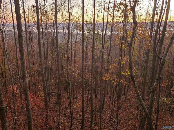 80 Acres of Land with Home for Sale in Henagar, Alabama