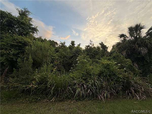 0.24 Acres of Residential Land for Sale in Crystal River, Florida