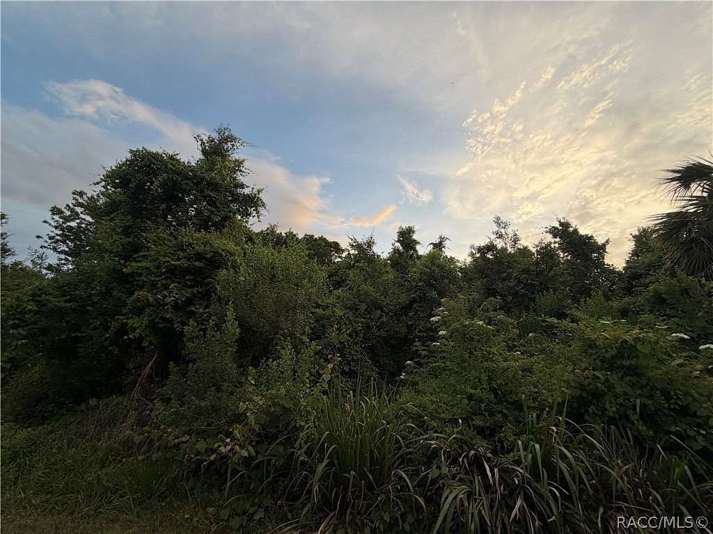 0.2 Acres of Residential Land for Sale in Crystal River, Florida