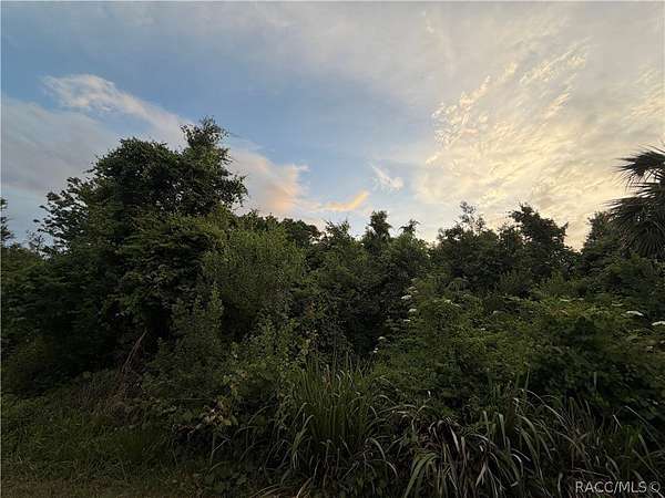 0.2 Acres of Residential Land for Sale in Crystal River, Florida