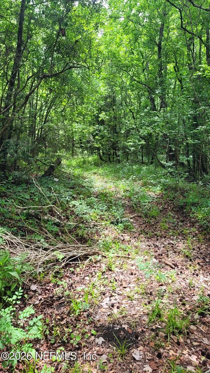 15 Acres of Recreational & Residential Land for Sale in Jacksonville, Florida