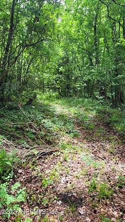 15 Acres of Recreational & Residential Land for Sale in Jacksonville, Florida